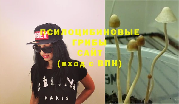 скорость Алзамай