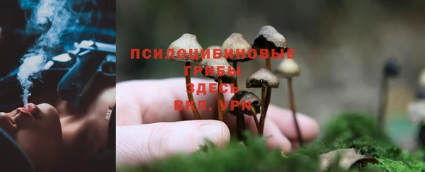 сатива Алексин